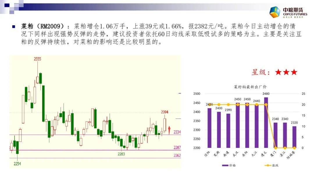 第1619页