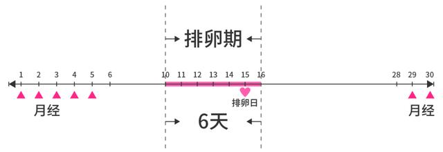 这两个月没排卵，探索潜在原因与应对策略