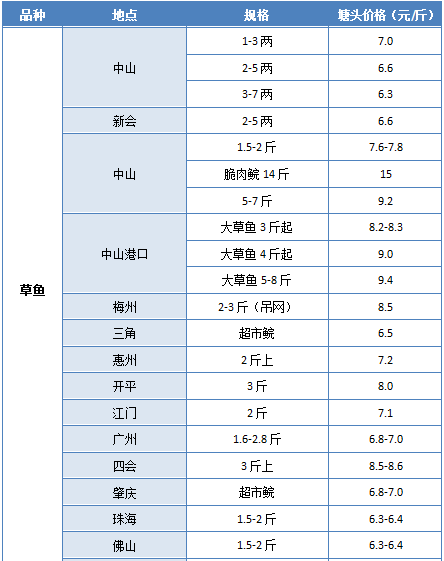 广东耀新物流有限公司，引领区域物流新篇章