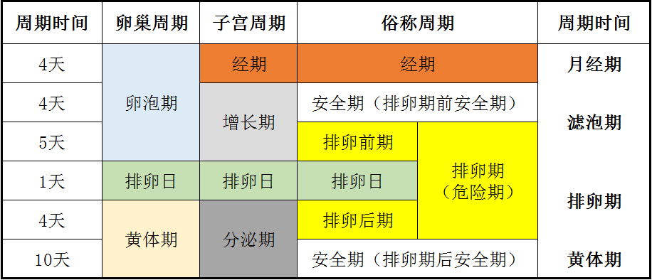 每个月排卵期是什么时候，深入了解女性生理周期的关键时刻