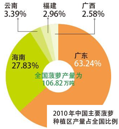 广东省菠萝产业规模探析