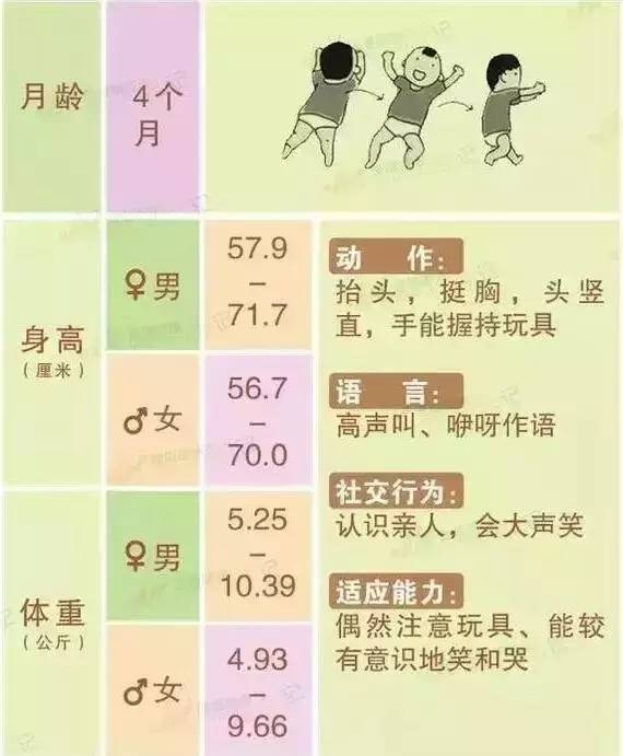 宝宝13个月发育指标详解