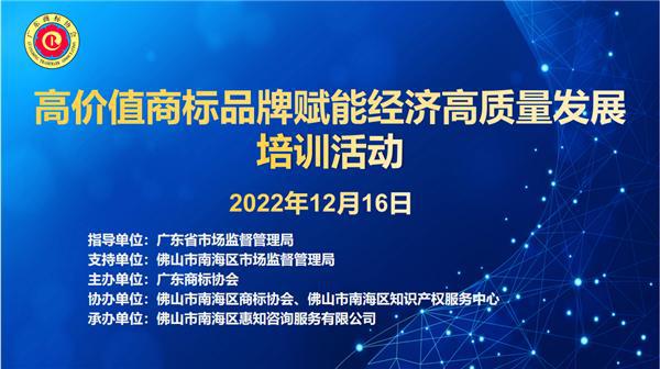 广东省本科金字塔，构建高质量教育体系的基石